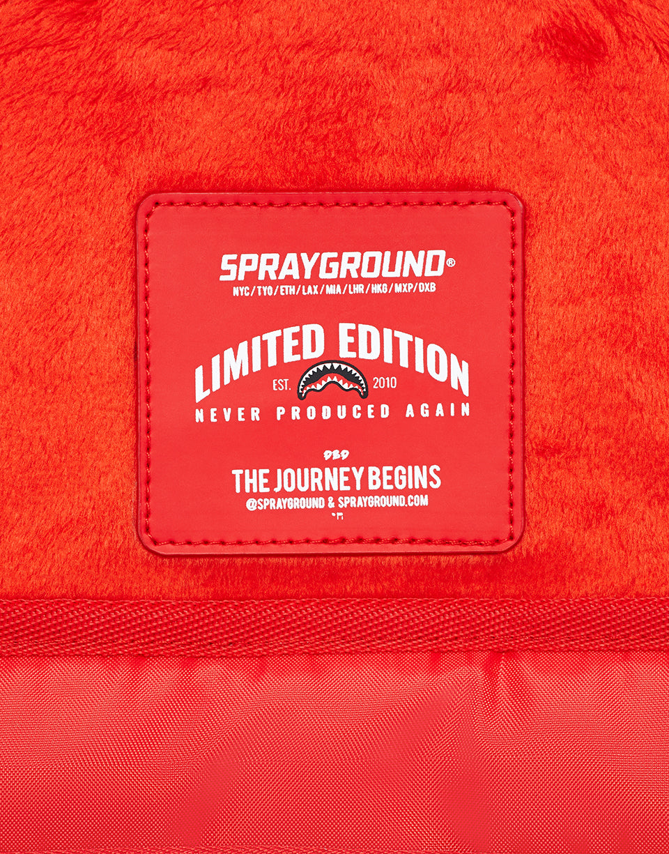 NEW MONEY BACKPACK - Image 5
