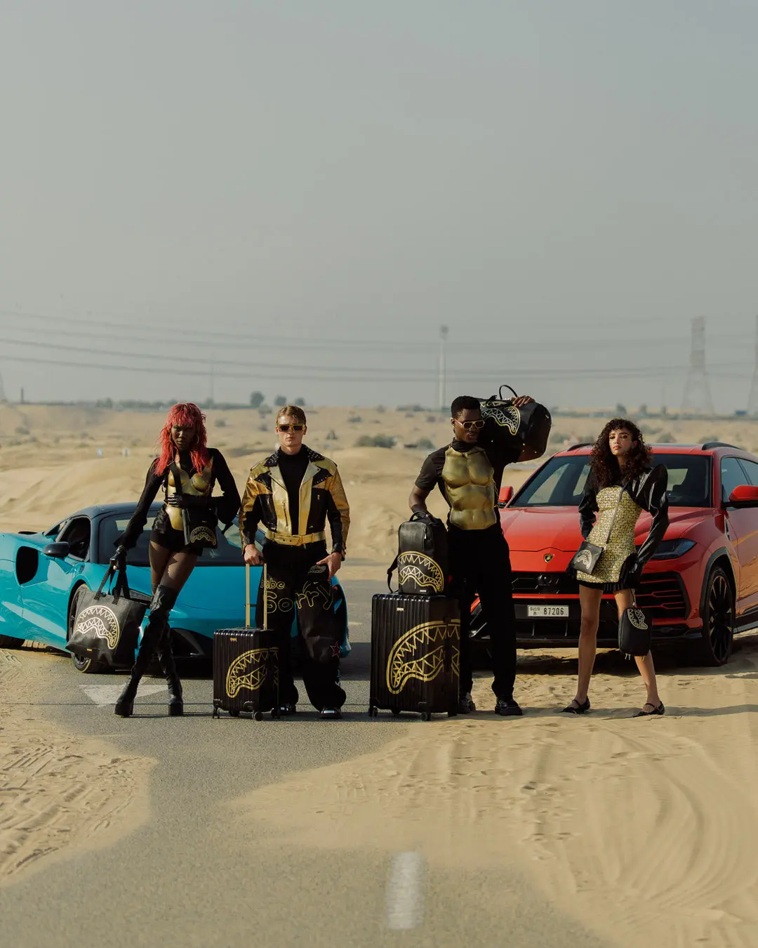 GOLD FANG FULL-SIZE LUGGAGE - Image 12